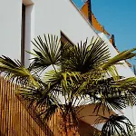 Vandrarhem The Salty Surf & Yoga Ferrel (Leiria)