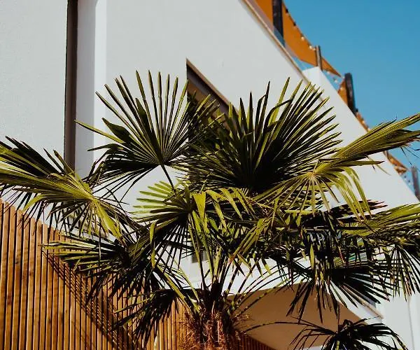 Ostello The Salty Surf & Yoga Ferrel (Leiria)